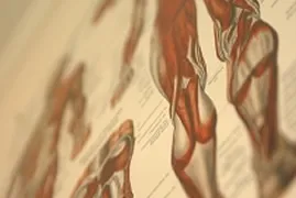 構造医学とはのイメージ